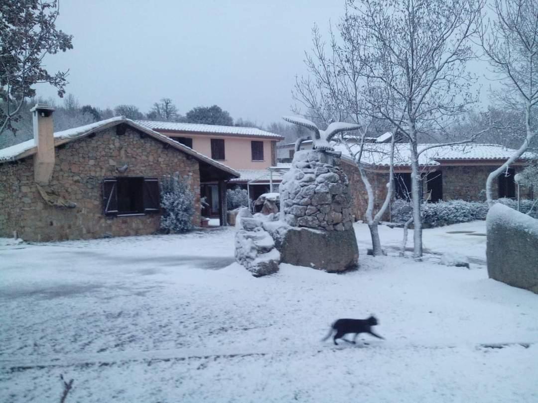 Hotel Il Nido Dell'Aquila Villanova Strisaili Экстерьер фото