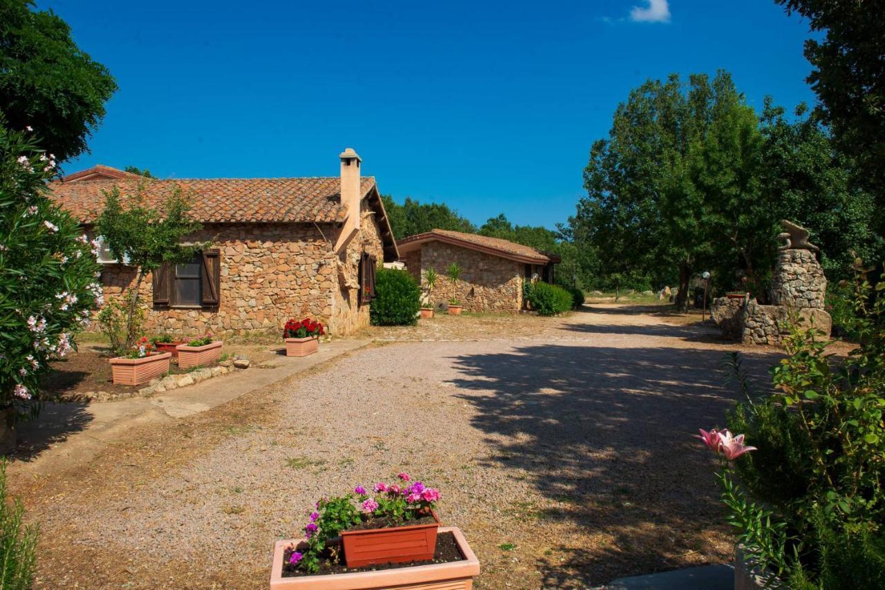 Hotel Il Nido Dell'Aquila Villanova Strisaili Экстерьер фото